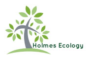 Holmes Ecology